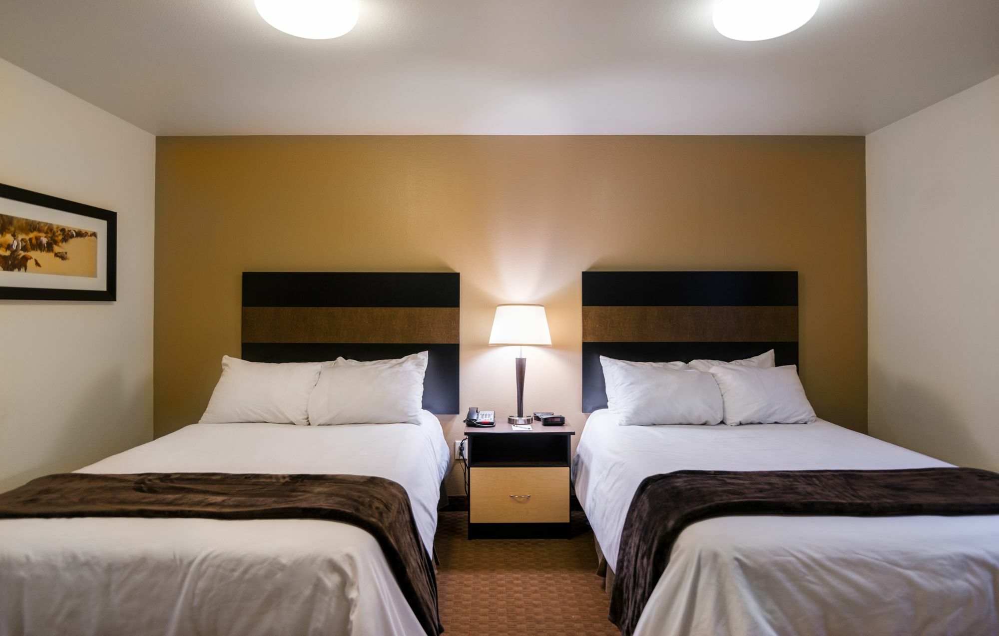 My Place Hotel-dickinson, Nd 2*